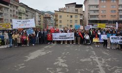 Hakkari'de Engelliler Haftasında "Farkındalık yürüyüşü"