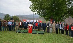 Hakkari'de çiftçilere fide desteği