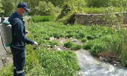 Hakkari'de haşereyle mücadele çalışması başladı