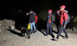 Hakkari'de kaybolan Kurt için çalışma başlatıldı