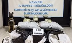 Hakkari'de uyuşturucu operasyonu