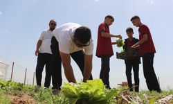 Şırnak'ta öğrenciler, topladıkları ilk hasadı öğrenci yurduna bağışladı