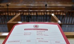 ÇUKURCA ASLİYE CEZA MAHKEMESİ - 2024/64-CEZA DAVA DOSYASI