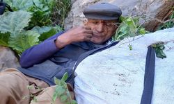 Hakkari'de kaybolan yaşlı adam bulundu