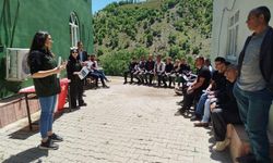 Hakkari'de şap hastalığı alarmı!
