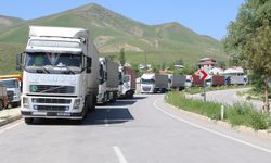 Esendere'de TIR kuyruğu! Sürücüler 3 gündür bekliyor