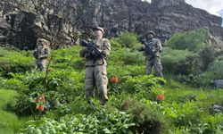 Hakkari'de Ters Lale'ye dokunan yandı