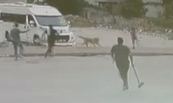 Sokak köpeklerinin saldırdığı 2 çocuğu esnaf kurtardı