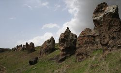 Bitlis'te "Nemrut'un develeri" koruma altına alınıyor