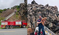 Hakkari'de mahsur kalan keçi yavrusu kurtarıldı