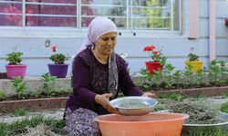 "Şalvarlı" belediye başkanı hem evini hem ilçesini kalkındırıyor