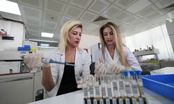 Doktor kardeşler aynı hastanede bilimsel işbirliği yapıyor