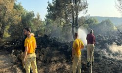 Mangal yaparken ormanı yakmış; tutuklandı