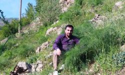 Şemdinli’de yayla yolunda feci kaza: Bir kişi hayatını kaybetti