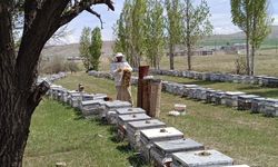 TKDK'dan Hakkari'ye büyük yatırım!