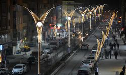 HAKKARİ BELEDİYE BAŞKANLIĞI - AYDINLATMA DİREĞİ SATIN ALINACAKTIR