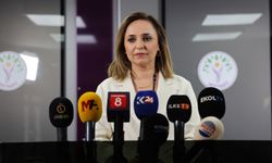 DEM Parti Sözcüsü Doğan: Süreçte kriz söz konusu değil
