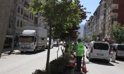 Hakkari’de refüjlerde çim biçme mesaisi