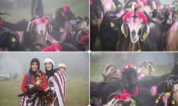 Besicilerin renkli yayla yolculuğu