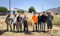 Hakkari'de ekilmedi Derecik'te hasadı başladı