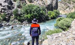 Yüksekova'da Neçir Kom'un arama çalışmaları devam ediyor