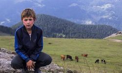 DEM Parti'den kritik dönemde çok önemli telefon