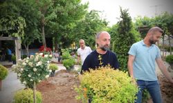 Çukurca Belediyesinden yeşillendirme çalışması