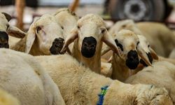 "Bayram namazı öncesi kesilen kurbanlar geçersizdir"