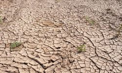 Kuraklık 2050 yılına kadar 1 milyar kişiyi göç ettirebilir