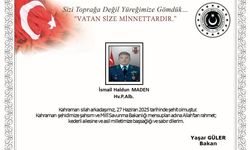 Kalp krizi geçiren pilot albay şehit oldu