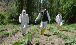 Hakkari'de çiftçilere uygulamalı tarım eğitimi