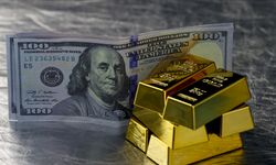Altın ve mevduat faizi yatırımcısını sevindirdi, dolar ve avro üzdü