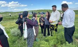 DEM Parti yeni süreci  Hakkari yaylalarında anlattı