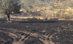 Şırnak'ta 50 dönüm buğday ekili alan yandı