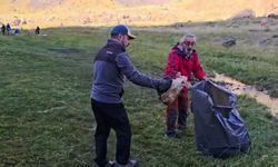Dağcılar, Cilo Dağları ve Cennet Cehennem Vadisi'nde temizlik yaptı