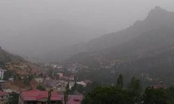 Toz taşınımı Şemdinli'yi etkisi altına aldı