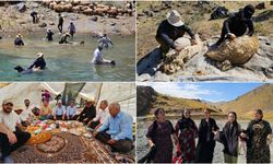 Hakkari’de geleneksel koyun kırkma şenliği renkli görüntülere sahne oldu