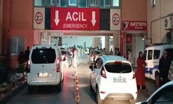 Annesini yaralayan kardeşini öldürüldü