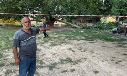 Ağacın kırılan dalı, piknik yapanların üzerine düştü: 11 yaralı