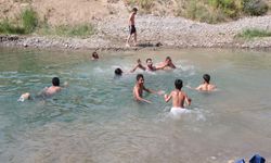 Hakkari'de sıcaktan bunalanlar derede serinliyor