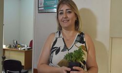 Sigarayı bırakan 25 yıllık tiryaki, kül tablasını saksıya çevirdi