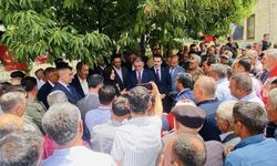 Erdoğan Van’ın Bahçesaray ilçesi için talimat verdi