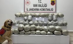 Başkale'de katırla uyuşturucu ticareti jandarmaya takıldı!