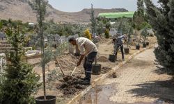Van'da yeşillendirme ve peyzaj çalışması