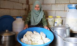 2 bin 700 rakımlı yaylada otlu peynir üretiyorlar