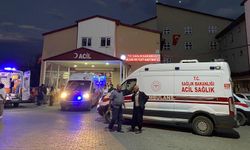Bitlis'te tarım aracının devrilmesi sonucu 7 kişi yaralandı
