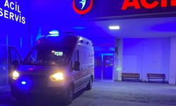 Askeri aracın devrildiği kazada üsteğmen şehit oldu