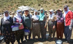 Hakkari'de yayla yollarında bir ömür