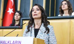 Hatimoğulları: Barış sürecinde tarihi bir haftaya girdik