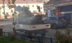 Yüksekova Belediyesi yaz boyunca haşerelere karşı ilaçlama yapacak